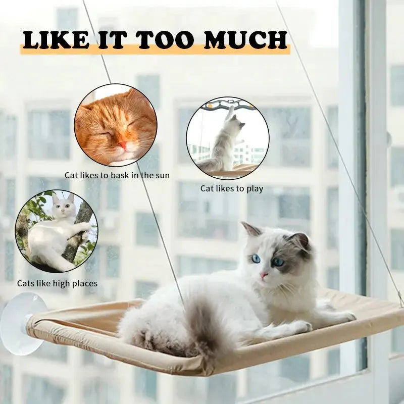 New pet cat hammock hanging cat bed bearing 20 kg comfortable sunny window seat kitten rock climbing frame pet supplies