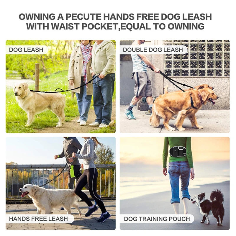 Dog Training Waist Bag Treat Bag Hands-free Sports Multifunction Outdoor Walk Outdoor Walk Dog Leash Reflective Waterproof Nylon